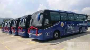 金龍汽車集團傾情服務第十三屆全國運動會，以卓越汽車裝飾服務護航體育盛事